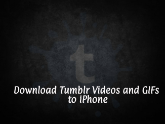 Download Tumblr Videos and GIFs to iPhone