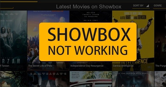 ShowBox App not Working