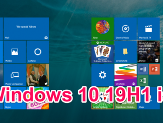 Windows 10 19H1 Build 18272 ISO Download Link