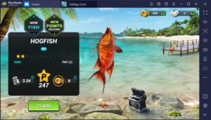 Fishing Clash Mod Apk