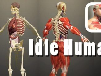 Idle Human Mod Apk