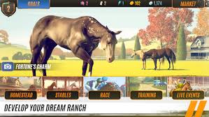 rival stars horse racing foals