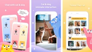 Cat&Dog Expert Mod Apk