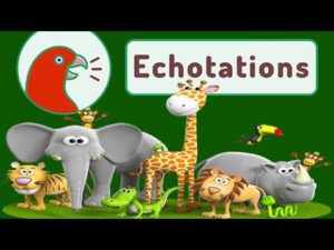 Echotations Mod Apk 